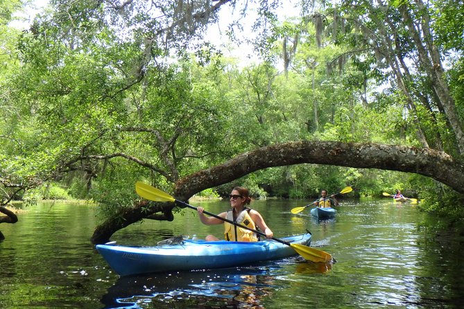 Self Guided Family Friendly Kayak Rental Experience Old Florida - Black water, cypress trees, and the value of slowing down