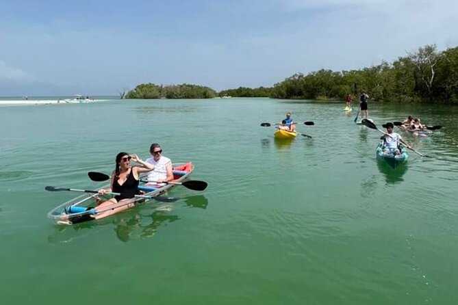 Self-Guided Island Tour: CLEAR/Standard Kayak, SUP-Bonita Springs - Wildlife expectations in Estero Bay