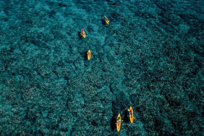 Self-Guided Kayaking Discovery in Kailua, Oahu - What this Kailua kayak outing really offers