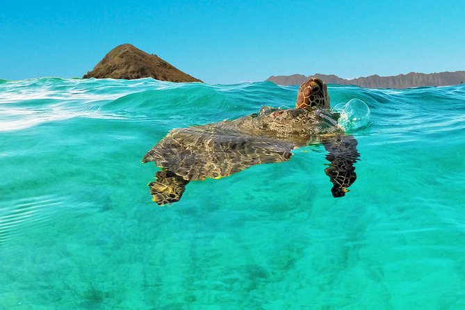 Self-Guided Kayaking Discovery in Kailua, Oahu - What makes the package a good value
