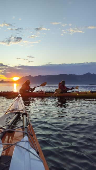 Senja: Guided Small Group Evening Kayaking Tour - Starting at The Natural North and Senja Roasters Café