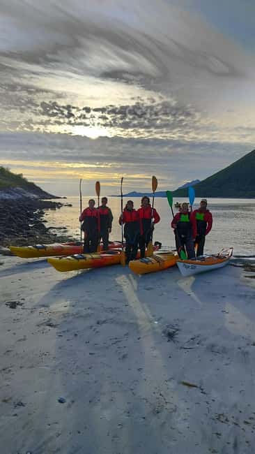 Senja: Guided Small Group Evening Kayaking Tour - Wildlife on an evening route