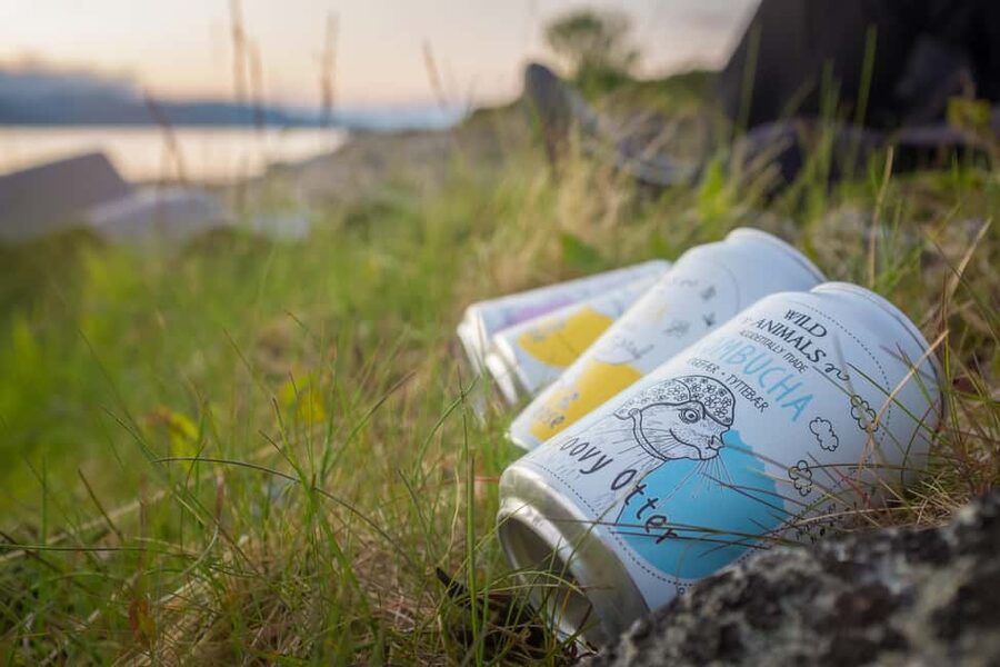 Senja: Guided Small Group Evening Kayaking Tour - The secluded beach and local kombucha stop