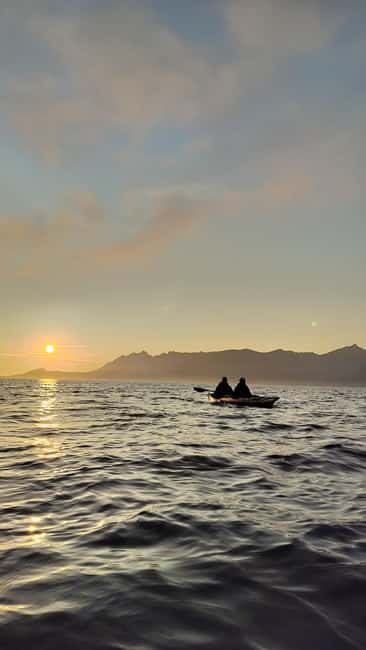 Senja: Guided Small Group Evening Kayaking Tour - Who will enjoy this more than a standard sightseeing trip
