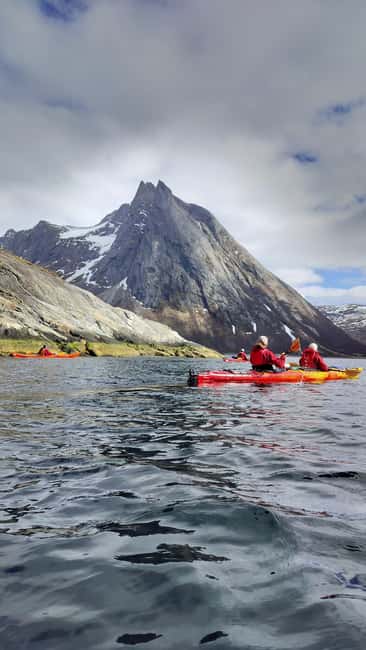 Senja: Guidet Fjord Kayaking in Ånderdalen Nationalpark - Key points to know before booking