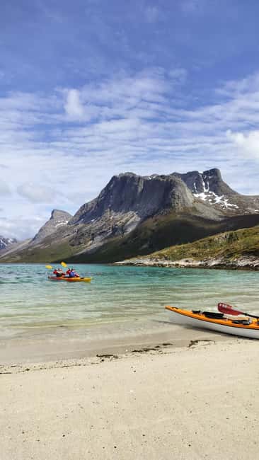 Senja: Guidet Fjord Kayaking in Ånderdalen Nationalpark - Wildlife: what you might see