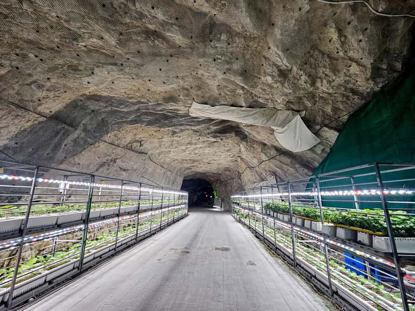 Seoul: Chungju Cruise, Cable Car & Cave Kayak Adventure Tour - What the schedule feels like in practice