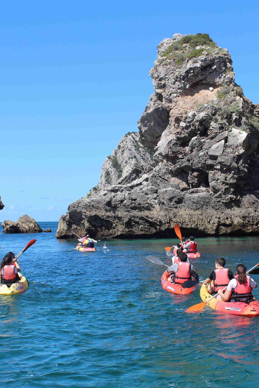 Sesimbra: Ribeiro Cavalo Beach, Caves, & Arrábida Kayak Tour - Ribeira do Cavalo Beach and the sweet break