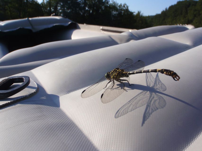Severin na Kupi: Canoeing and Kayaking on the Kupa River - What the $47 Price Buys You