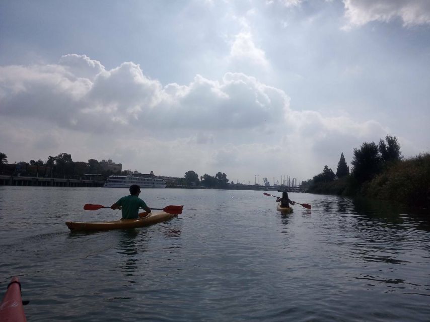 Sevilla: Kayak Rental on the Guadalquivir - Turtles, ducks, and quiet riverbanks