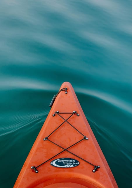 Seville: 1.5 hour Kayak Excursion - What the 1.5-hour route feels like