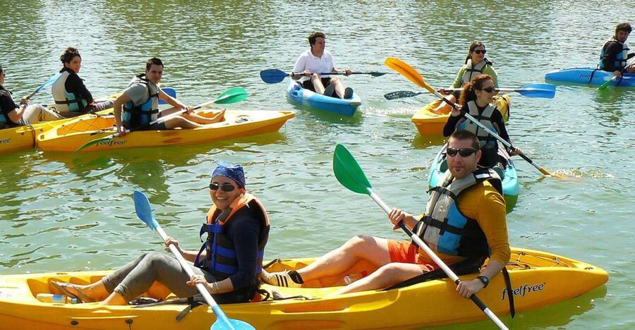 Seville: 2–Hour Guadalquivir River Kayaking Tour - Paddling Past Isla de La Cartuja