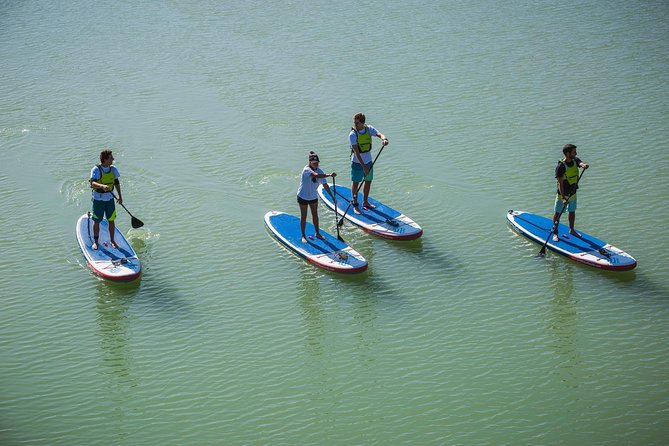 Seville: Paddle Surf Route and Class - Who will enjoy this Seville river route?