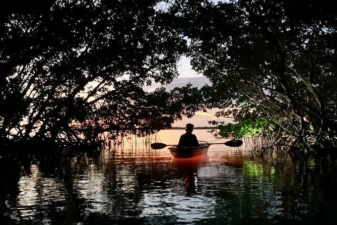 Shell Key Clear Kayak Sunset & Glow Tours - What the glow looks like on Shell Key waters