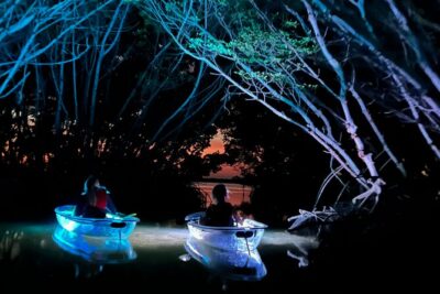 Shell Key Clear Kayak Sunset & Glow Tours