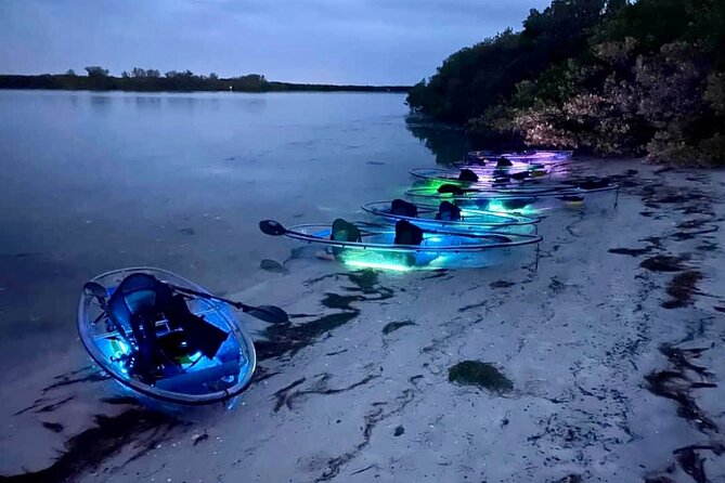 Shell Key Clear Kayak Sunset & Glow Tours - Who will enjoy this 90-minute outing