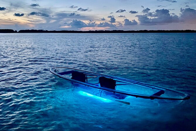 Shell Key Clear Kayak Sunset & Glow Tours - Is $84 a fair price?