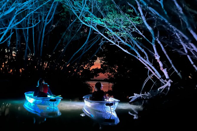 Shell Key Clear Kayak Sunset & Glow Tours - From Tierra Verde to the mangrove islands