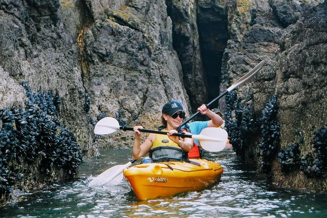 Shore Excursion Guided Sea Kayaking through Akaroa Marine Reserve - What the two to three hours actually involve