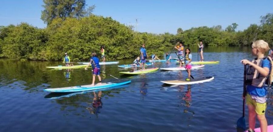 Siesta Key: Mangrove Kayak or Paddleboard Tour - The Secret Beach Stop