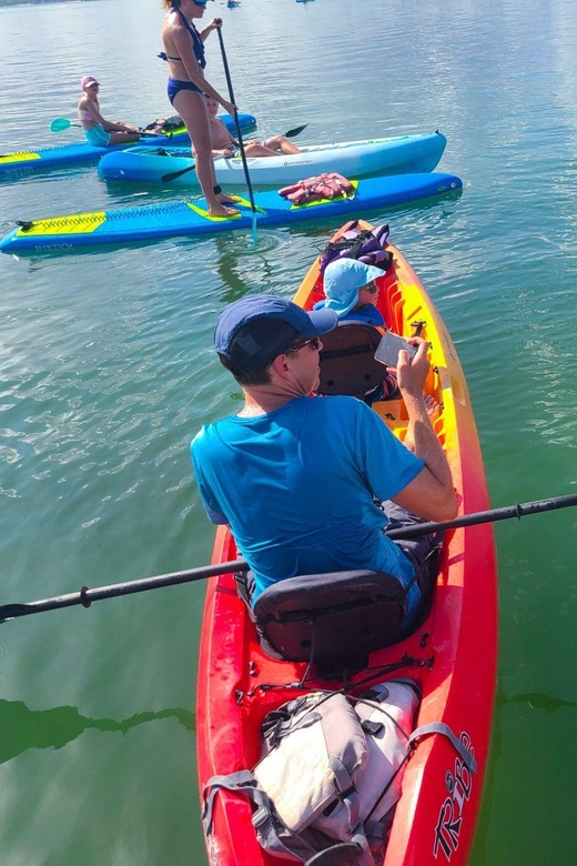 Siesta Key: Mangrove Kayak or Paddleboard Tour - Timing, Cancellation, and Small-Group Comfort