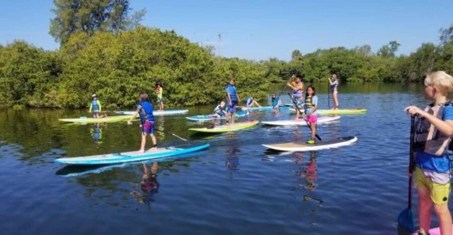 Siesta Key: Mangrove Kayak or Paddleboard Tour - Jim Neville Marine Preserve and Its Mangrove Tunnels