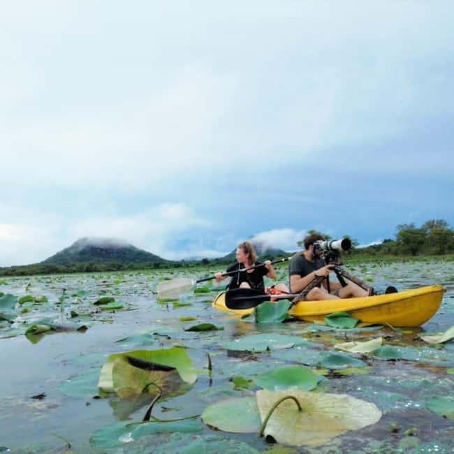 Sigiriya: Sunrise or Sunset Kayaking Tour - Paddling toward Sigiriya Rock