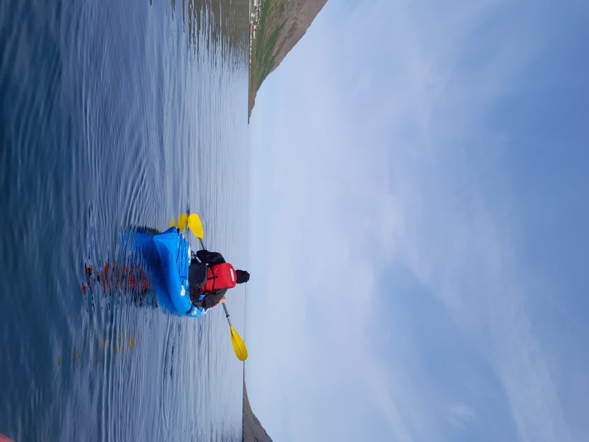 Siglufjörður / Siglufjordur: Guided kayak tour. - Why kayaking gives Siglufjörður a different face