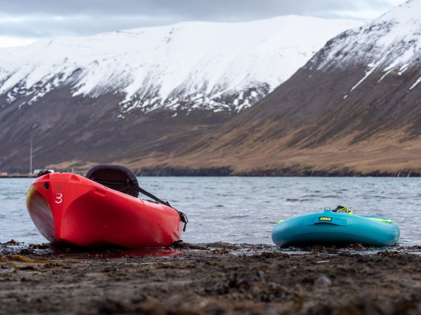 Siglufjörður / Siglufjordur: Guided kayak tour. - The first lesson makes this beginner-friendly