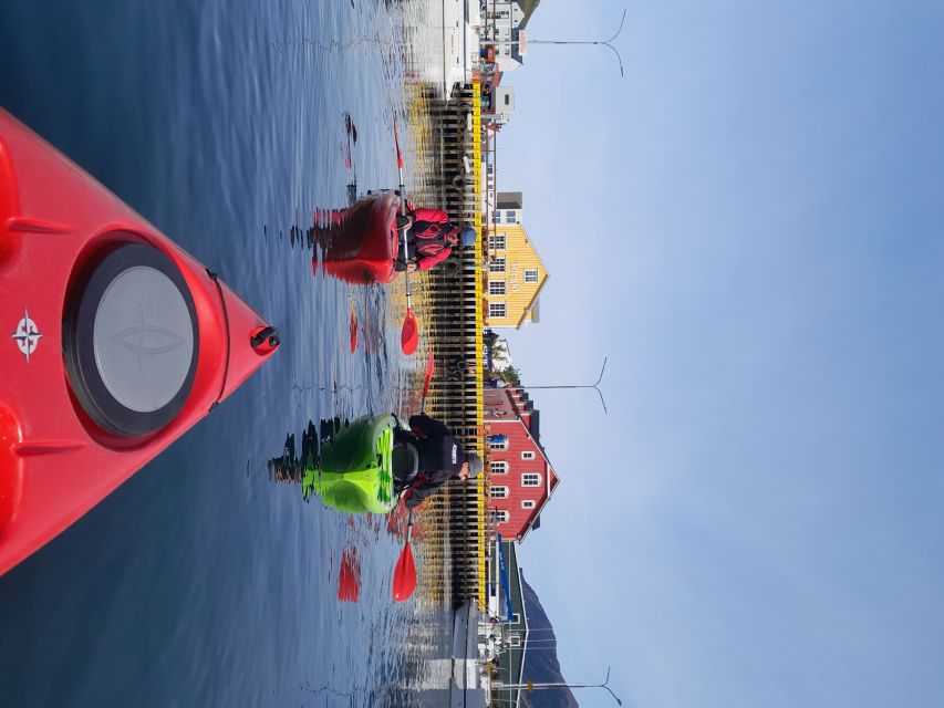 Siglufjörður / Siglufjordur: Guided kayak tour. - Following the guide along the fjord