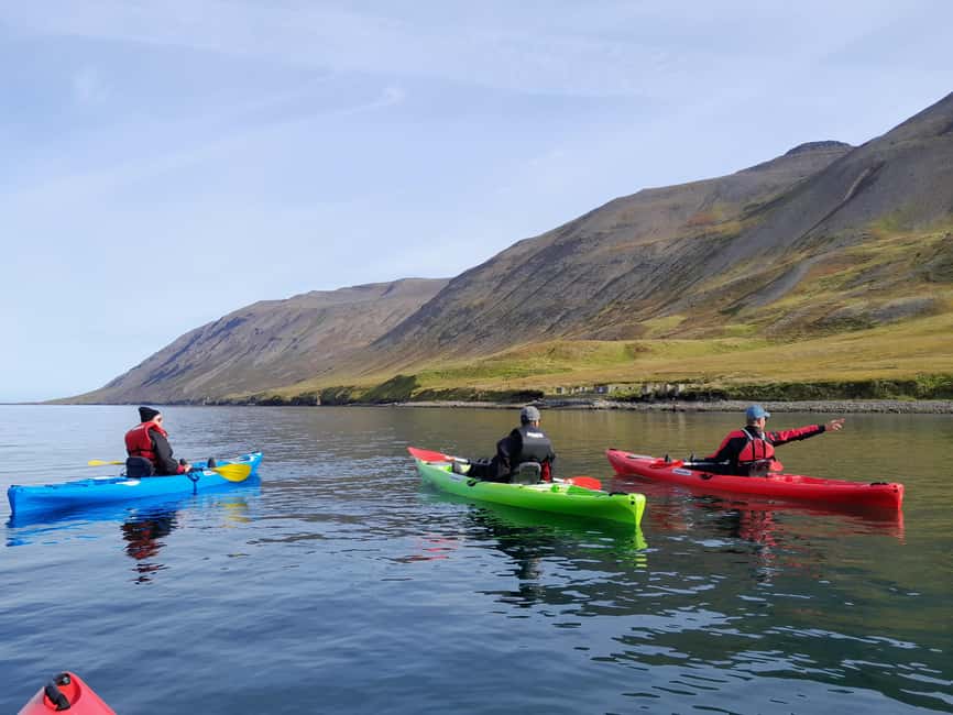 Siglufjörður / Siglufjordur: Guided kayak tour. - The shipwreck and Siglufjörður’s sea story