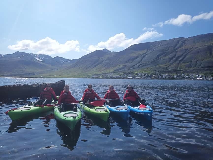 Siglufjörður / Siglufjordur: Guided kayak tour. - Selvíkurnef lighthouse and the chance of wildlife