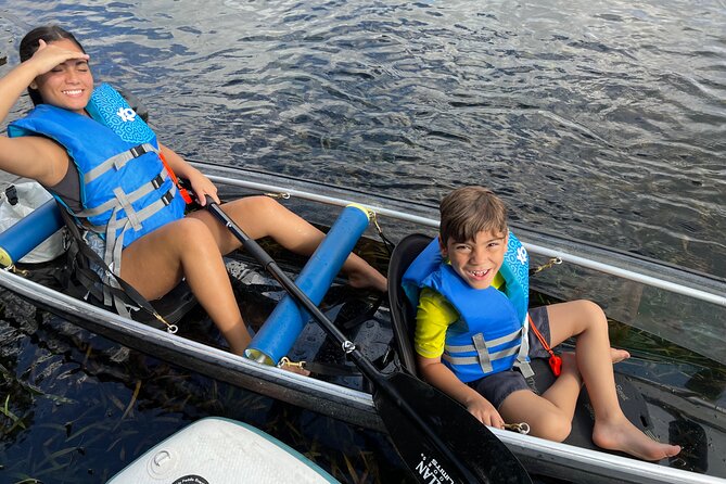 Silver Springs Clear Kayak Manatee, Monkey & Wildlife Adventures - The animals you may see