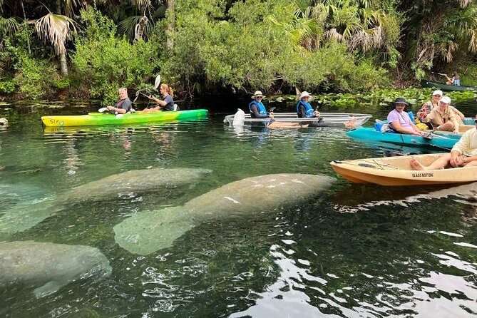Silver Springs Clear Kayak Manatee, Monkey & Wildlife Adventures - Guides make the difference