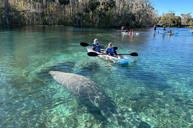 Silver Springs Clear Kayak Manatee, Monkey & Wildlife Adventures - How strenuous is the outing?