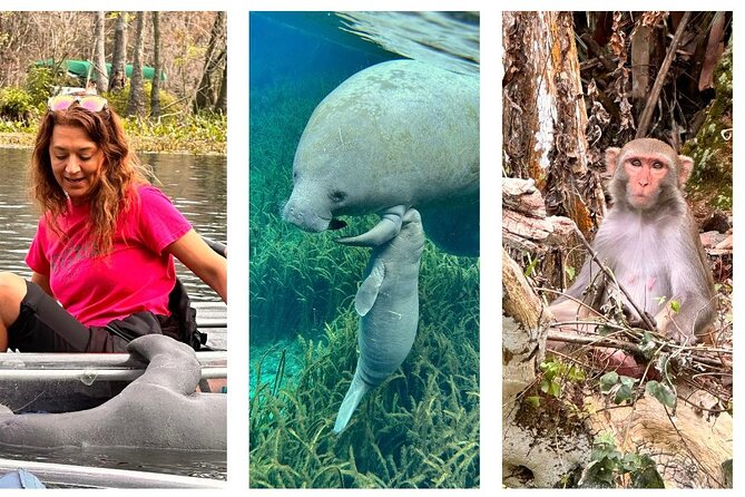 Silver Springs Clear Kayak Manatee, Monkey & Wildlife Adventures - What happens during the two-hour paddle