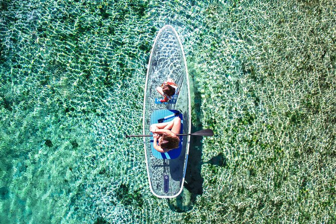 Silver Springs: Clear Kayak Wildlife Adventure - The Guides Make the Difference