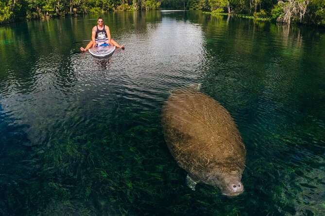 Silver Springs: Clear Kayak Wildlife Adventure - Best Time to Go and What to Pack