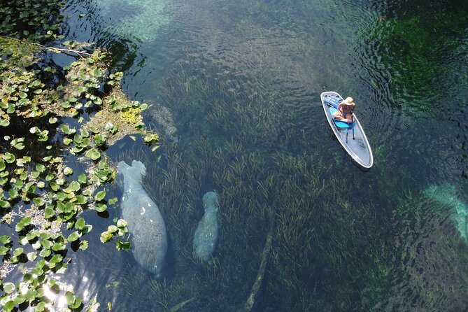 Silver Springs: Clear Kayak Wildlife Adventure - Who Will Enjoy This Silver Springs Tour