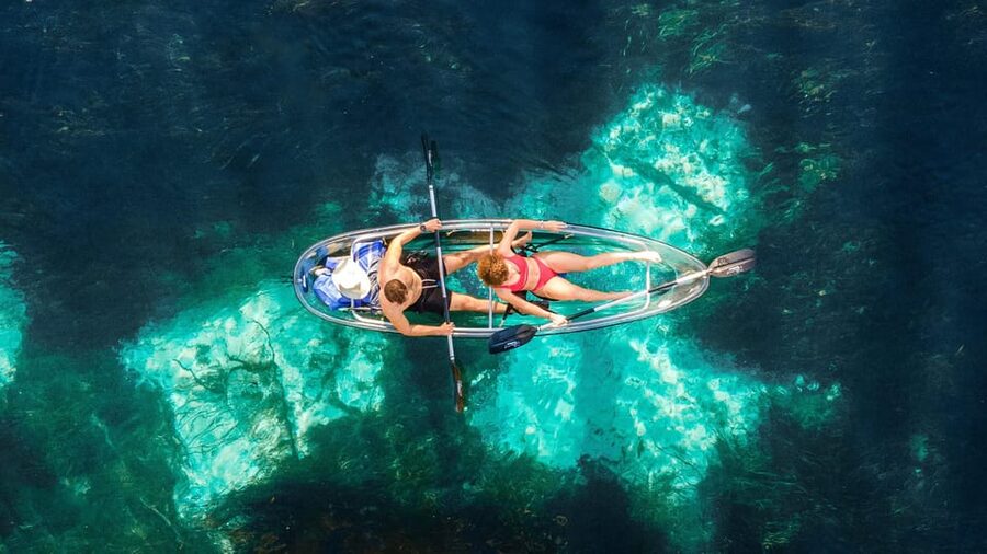 Silver Springs: Clear Kayak Wildlife Tour - Paddling above the clear Silver River