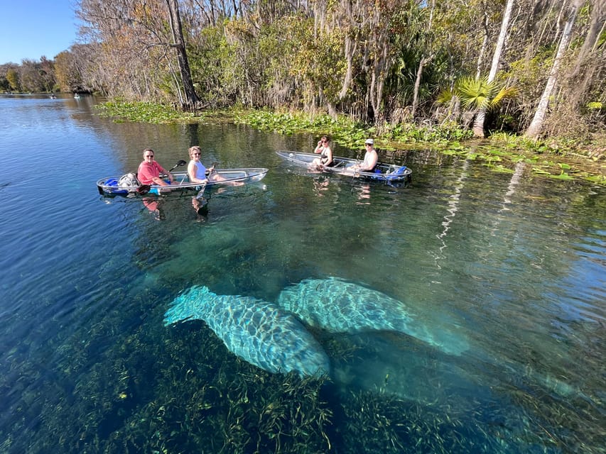 Silver Springs: Clear Kayak Wildlife Tour - A small group makes the guide matter