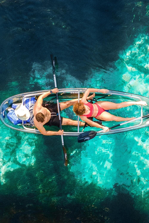 Silver Springs: Clear Kayak Wildlife Tour - Wildlife: plenty of possibilities, no guarantees