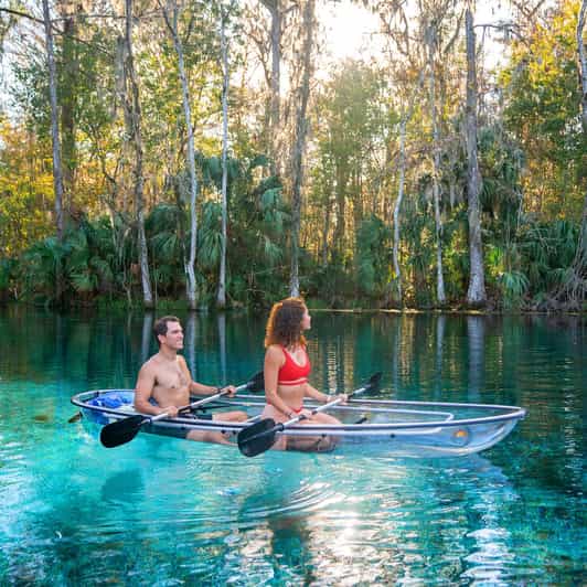 Silver Springs: Clear Kayak Wildlife Tour - Is $75 a fair price?
