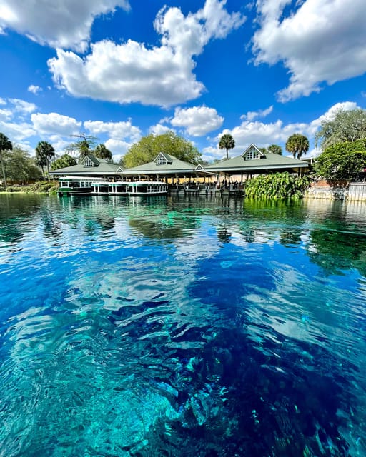 Silver Springs: Clear Kayak Wildlife Tour - What the 90-minute or two-hour schedule means