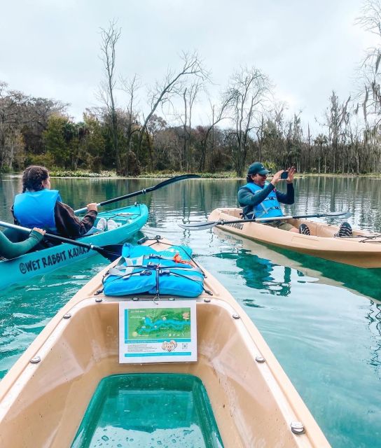 Silver Springs: Glass Bottom Kayak and Wildlife Tour - Key points to know before booking