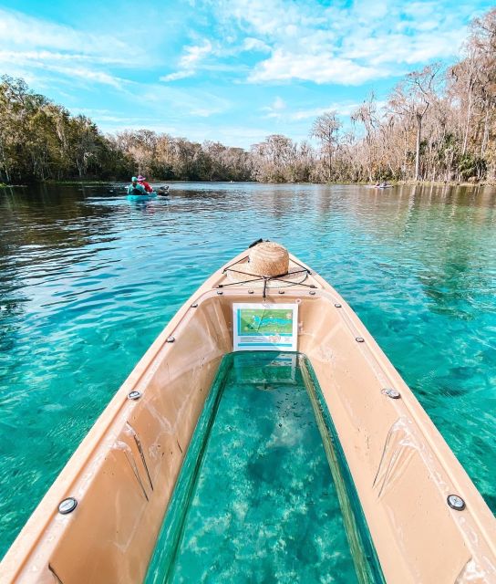 Silver Springs: Glass Bottom Kayak and Wildlife Tour - Why the glass bottom changes the experience