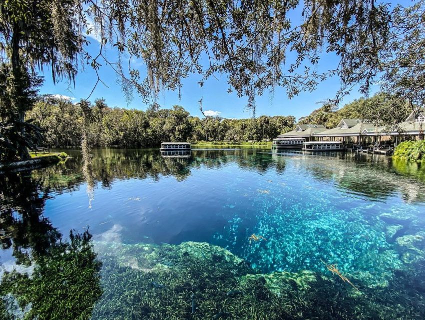 Silver Springs: Glass Bottom Kayak and Wildlife Tour - Paddling the clear Silver River