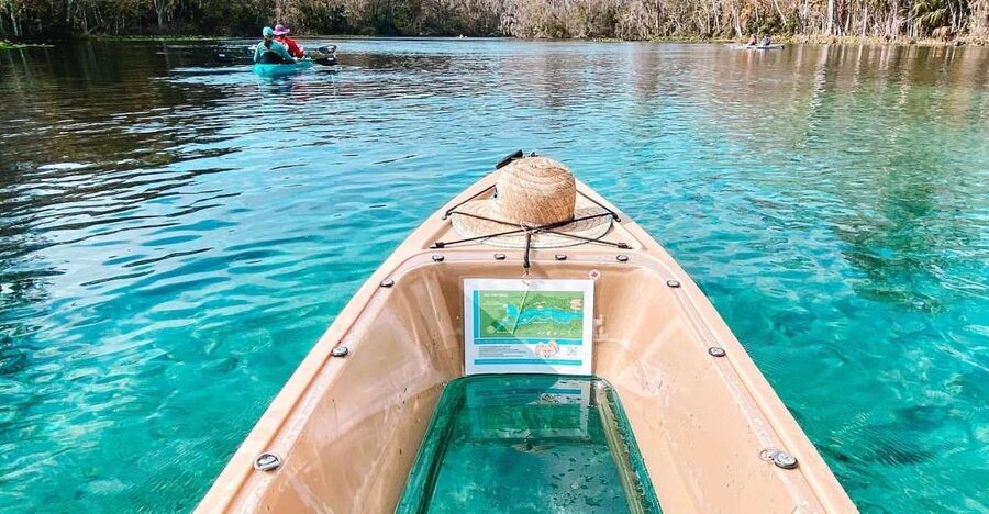 Silver Springs: Glass Bottom Kayak and Wildlife Tour - Wildlife sightings, from monkeys to manatees