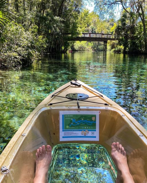 Silver Springs: Glass Bottom Kayak and Wildlife Tour - What the guides add