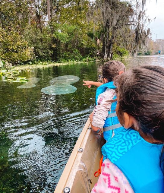 Silver Springs: Glass Bottom Kayak and Wildlife Tour - Timing, comfort, and physical demands